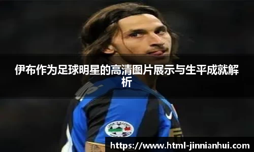 伊布作为足球明星的高清图片展示与生平成就解析